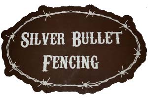 silverbulletfencing.com